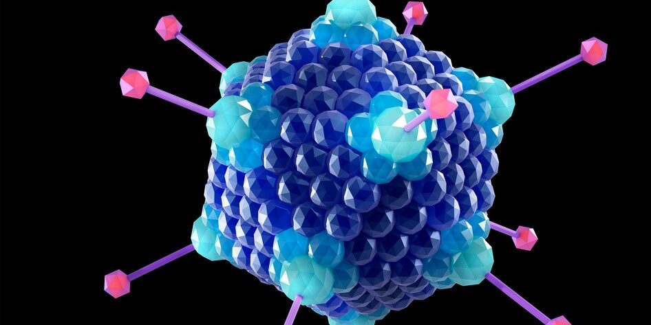 Copyright@AdobeStock